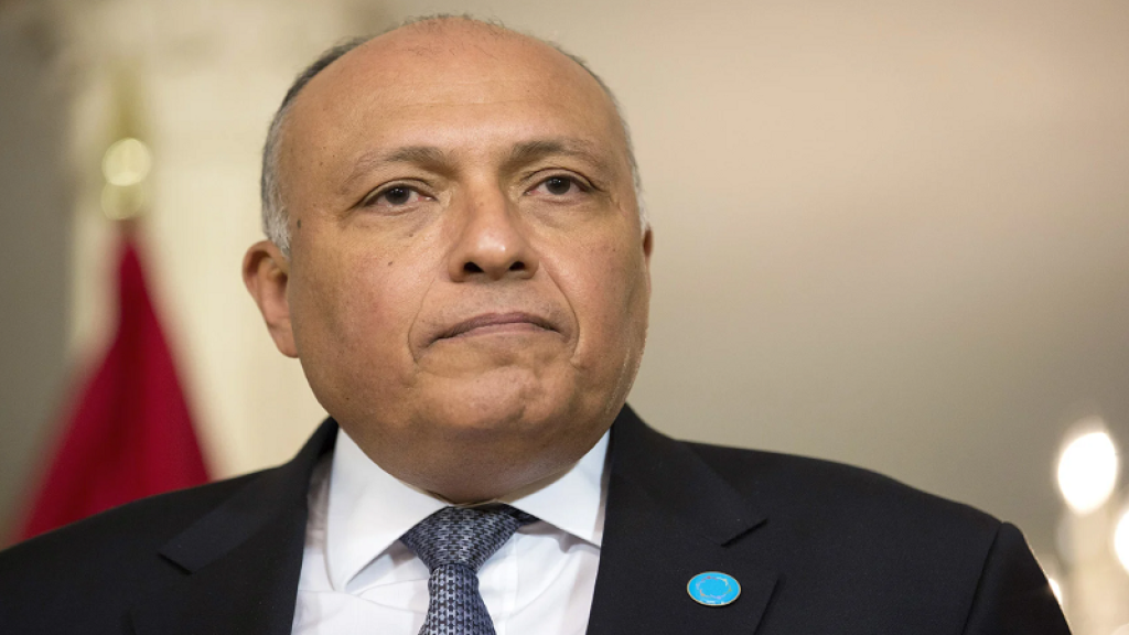 ما بعد 2030؟.. سامح شكري: الرئيس السيسي بيجهز الدولة ومؤسستها للمرحلة الجاية|فيديو