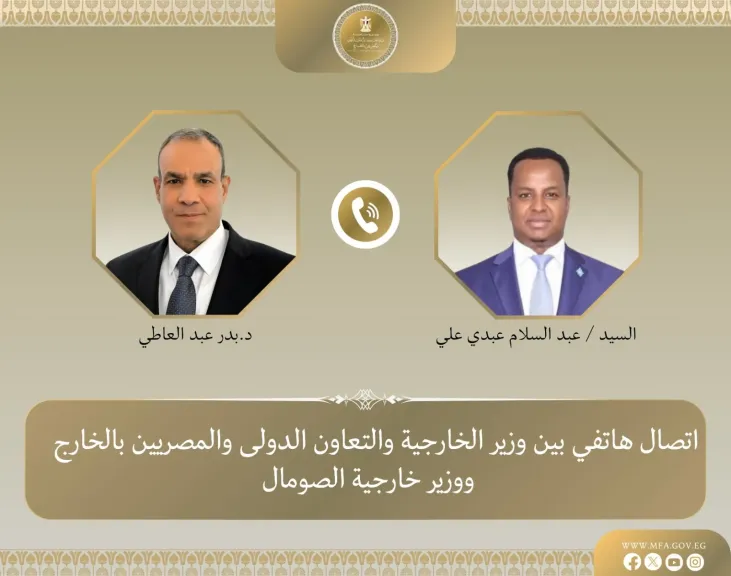 وزير الخارجية ونظيره الصومالي يبحثان التطورات الإقليمية والقضايا ذات الاهتمام المشترك