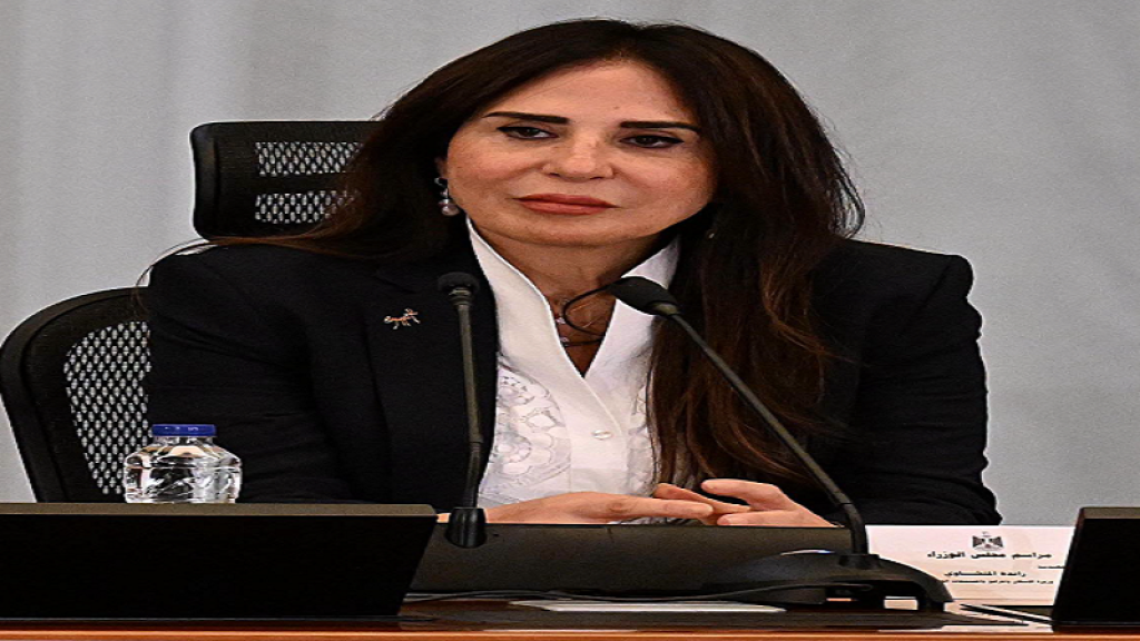 مليوني وحدة سكنية.. وزير الإسكان: هنواجه القصور ونعدل المسار بشفافية|فيديو