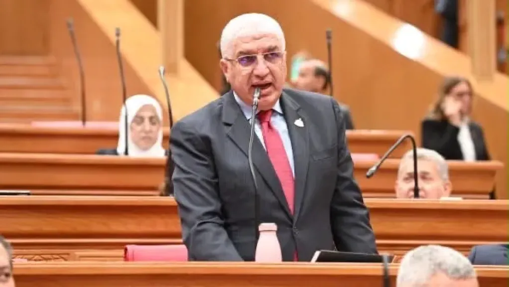النائب الدكتور أشرف سعد سليمان، وكيل أول لجنة الشؤون الأفريقية بمجلس النواب