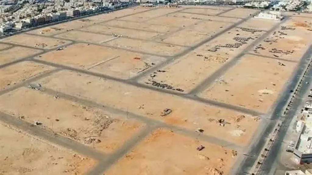 أرشيفية 