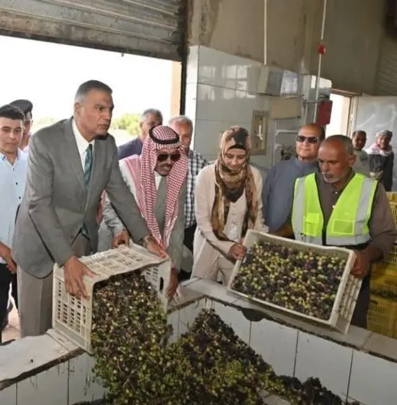 محافظ جنوب سيناء يتفقد معصرة زيت الزيتون التابعة لمديرية الزراعة بمنطقة أبوصويرة رأس سدر
