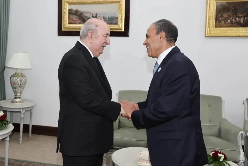 وزير الخارجية يلتقي رئيس الجمهورية الجزائرية