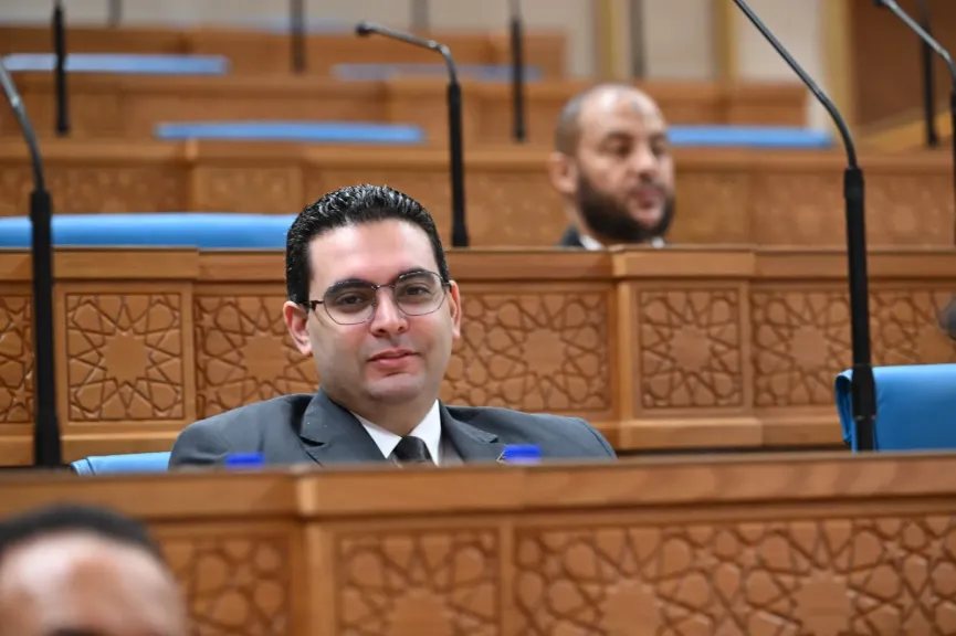 النائب أحمد خالد ممدوح 