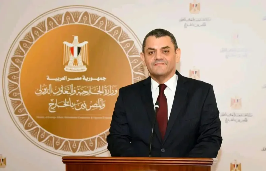 السفير نادر زكي، المتحدث باسم وزارة الخارجية