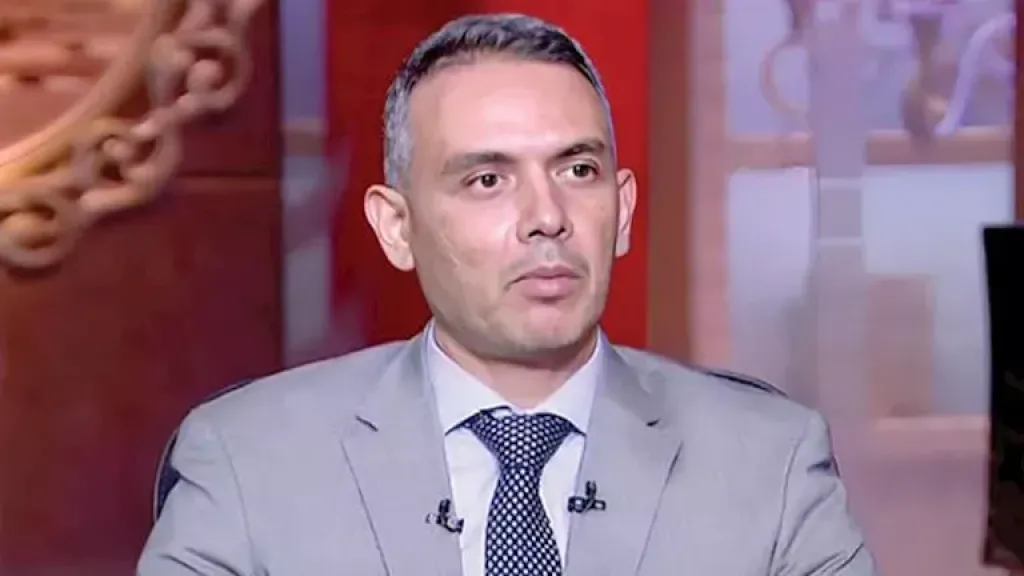 هاني جنينة، الخبير الاقتصادي