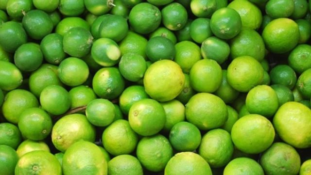 التموين: طرح الليمون في المجمعات الاستهلاكية بـ45 جنيها للكيلو