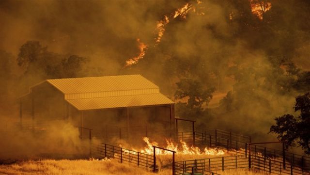 الجزائر تعلن الطواريء لمواجهة حرائق الغابات