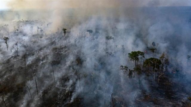 البرازيل ترفض مساعدة السبع الكبار لإطفاء الأمازون: وفروها لتشجير أوروبا