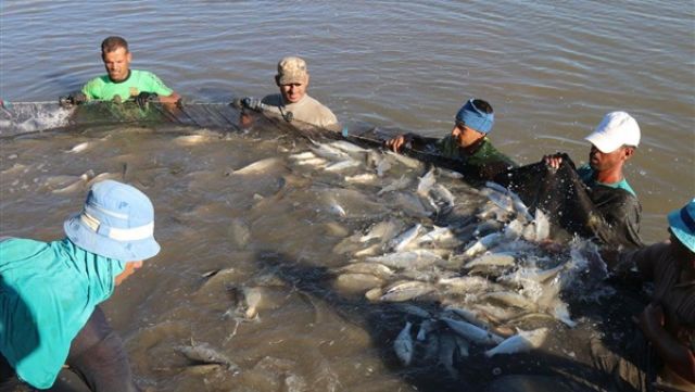 «الثروة السمكية»: مصر الأولى إفريقيًا في مجال الاستزراع السمكي
