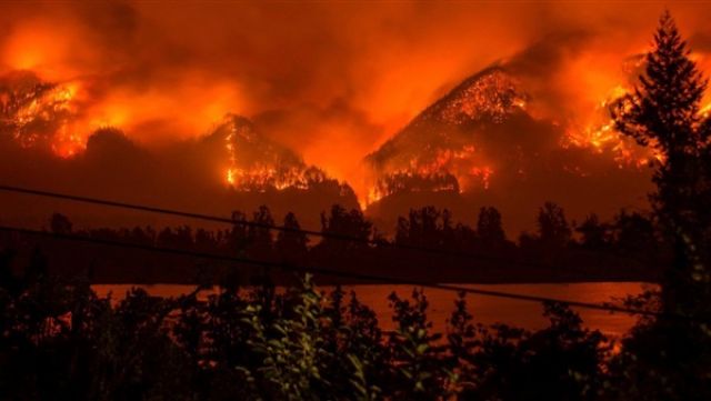 مقتل شخصين وتدمير 35 منزلا بسبب حرائق الغابات في المكسيك