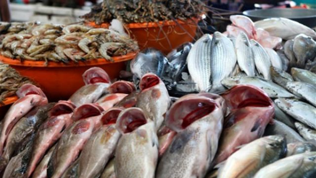 أسعار الأسماك اليوم الأربعاء 11 ديسمبر