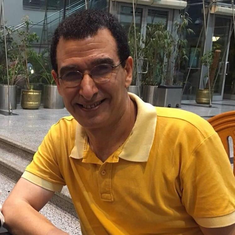 الفنان أنس الديب