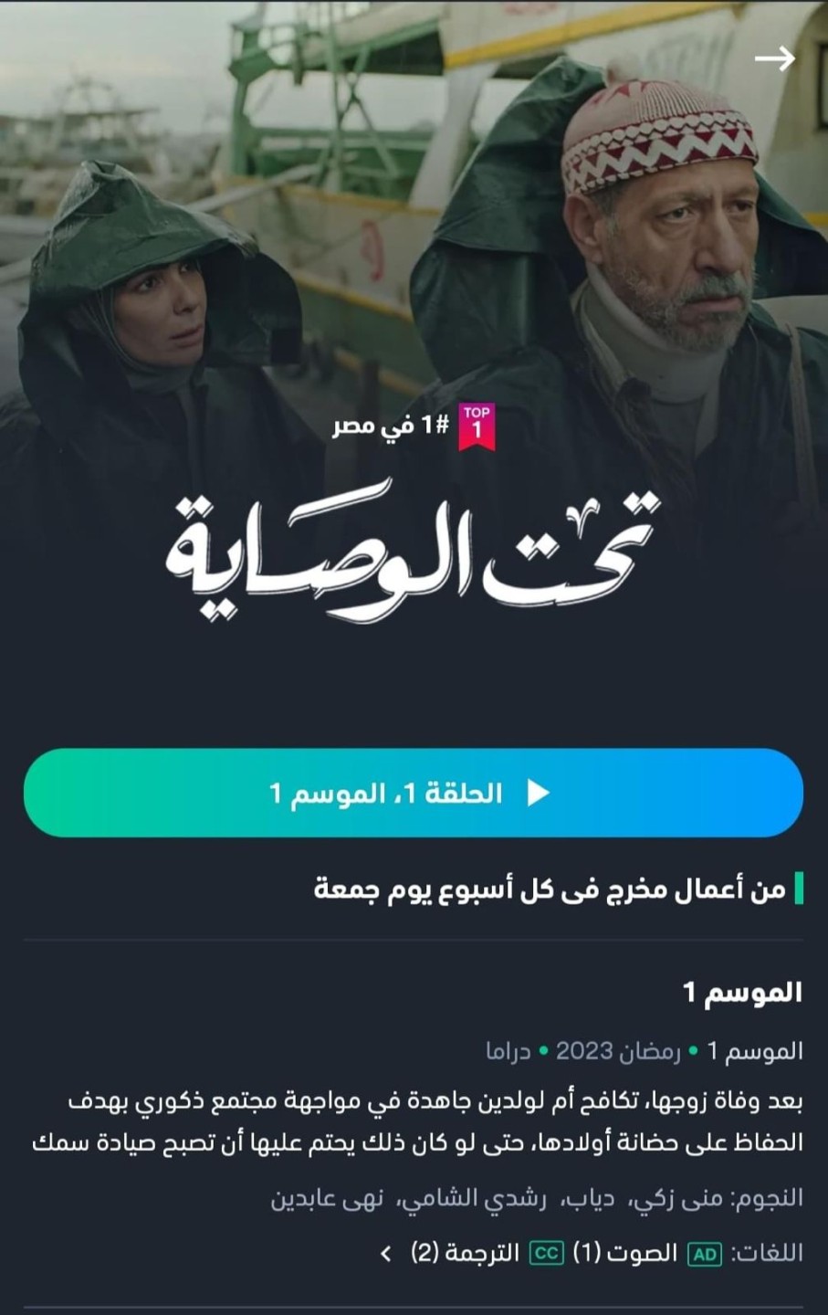 الحلقة 8 مسلسل تحت الوصاية 